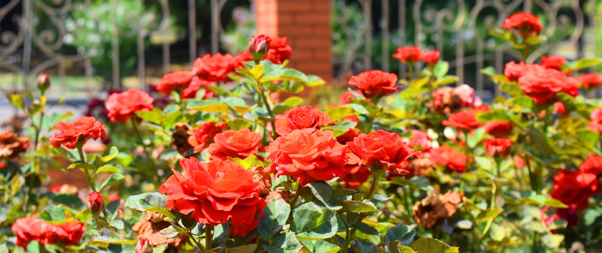  ����� ������� ����������� ������� ������� �������� ���� ��� 