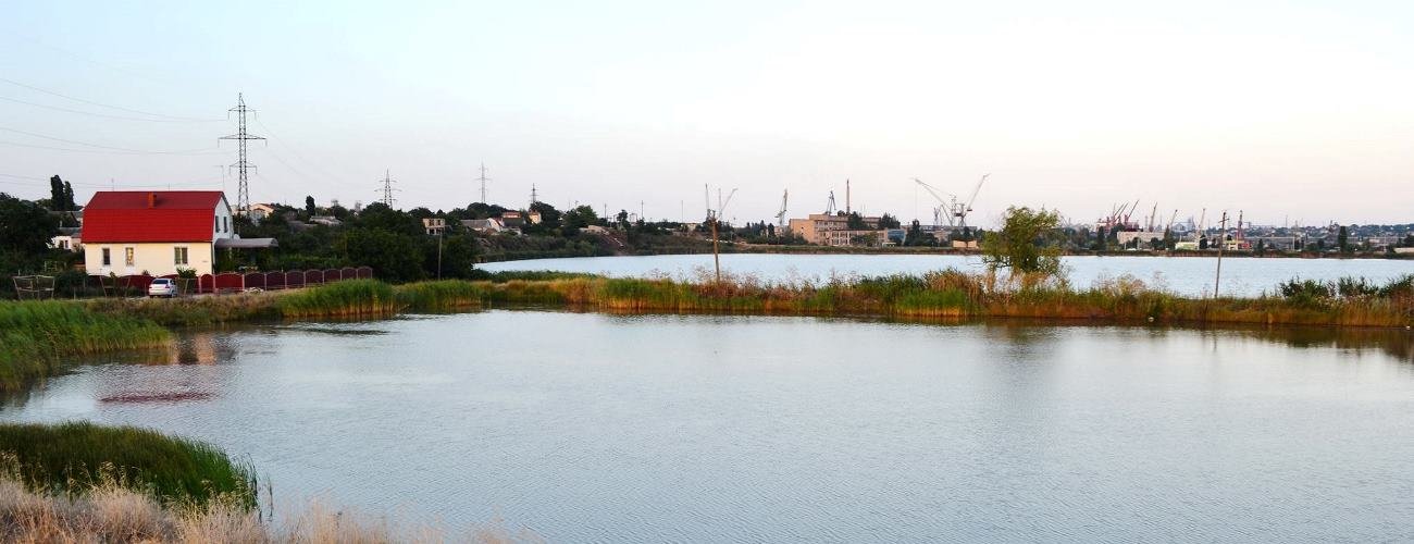 ����: 04868.com.ua