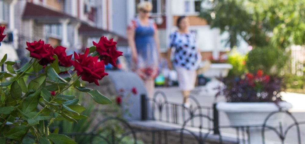  ���� ������ ���������� ������ ����������� �������� ���� ������� 