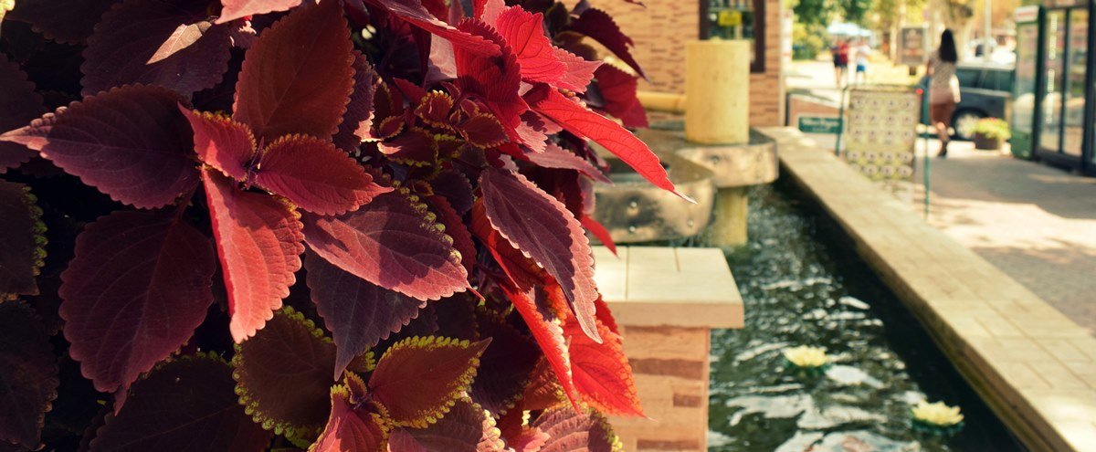  �������� ����������� ����� ����������� 