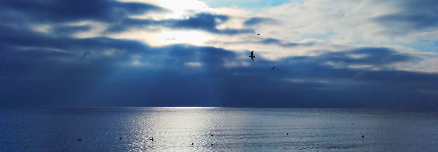  ������ �������� ������ �������� ����������� ������� ��������� ������ 