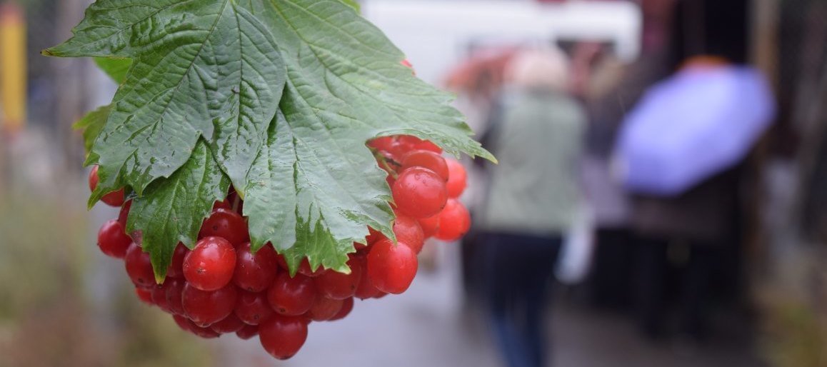  ����������� ����������� ����� ������� �������������������� ������� 