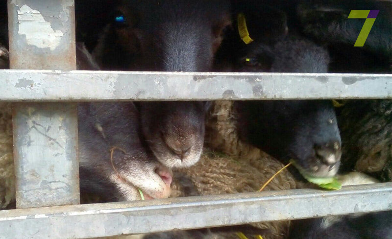  ������������ ����� ������� ������ ����� ���� 