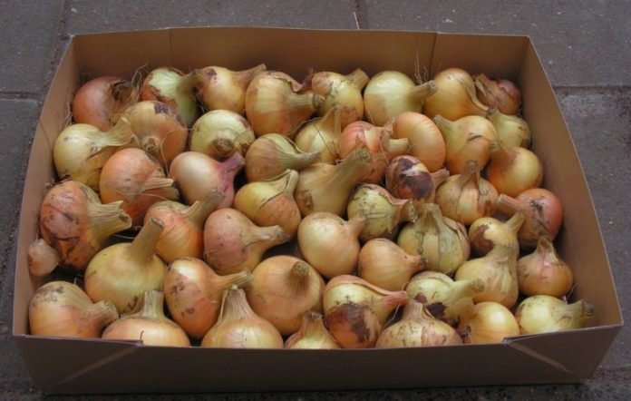 ����: 04868.com.ua