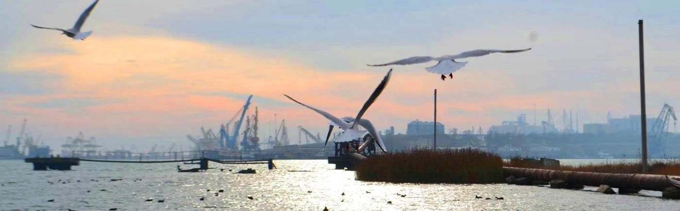  ����������� �������� ������������� ����������� 