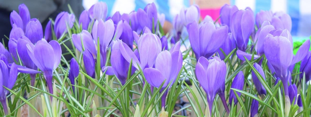 ����: 04868.com.ua