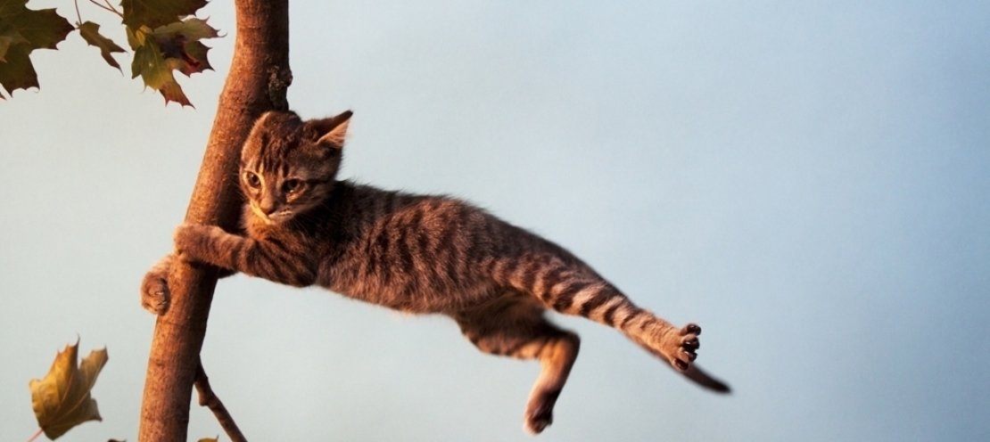  ��������� ������������� ��������� ���� ����������� ��������� ������� �������� 