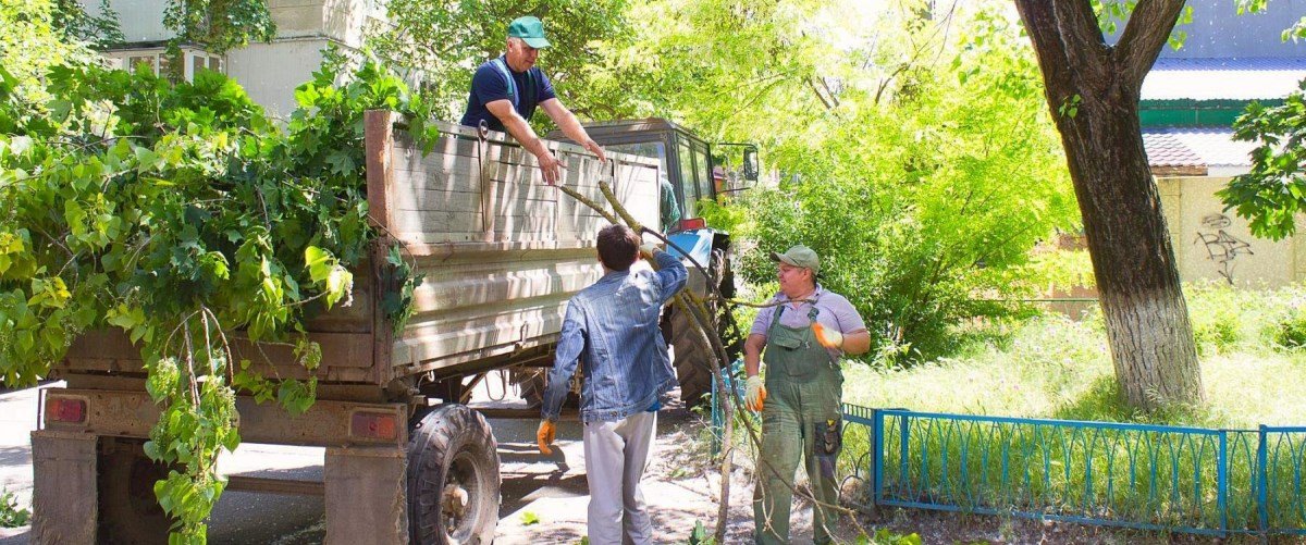  ��� �������� ������ ����������� ������� ������� 