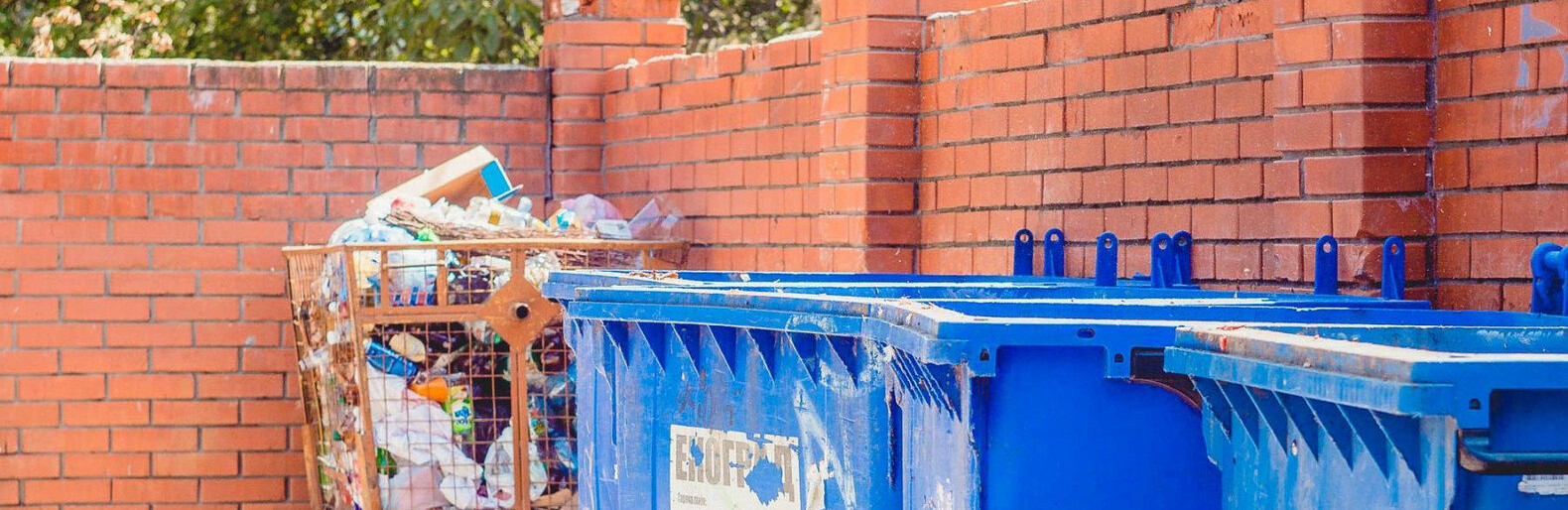  ���������� ���������� ���� ������� �������� ���������� ������ 