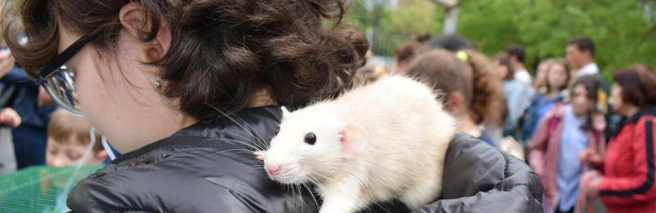  ����� ����������� ������ �������� �������� �������� 