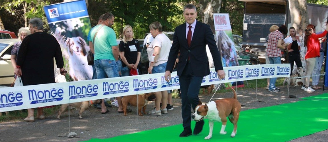  ����������� ������ ������������ �������� ����� 