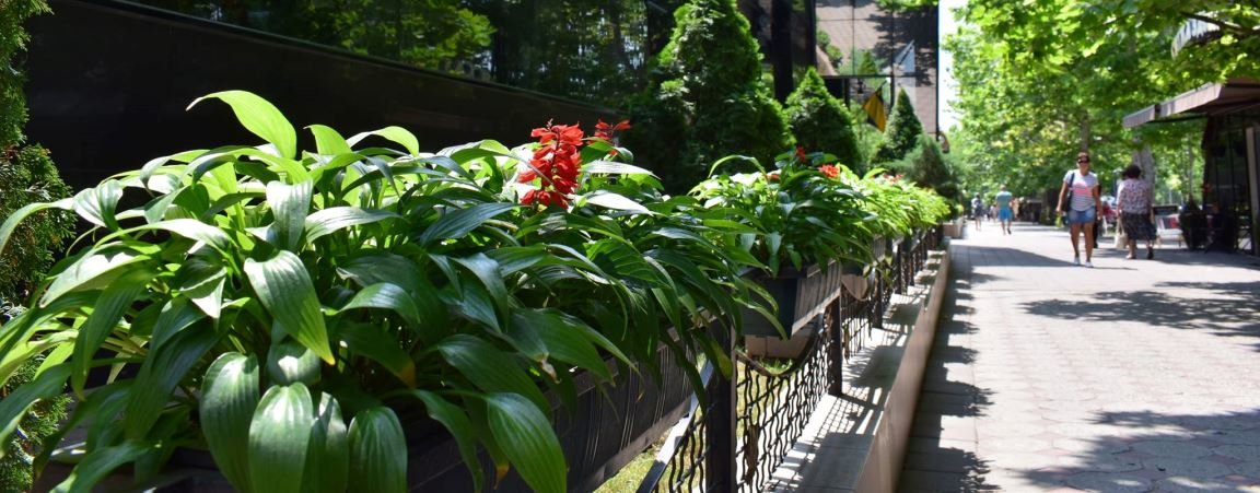 ����: 04868.com.ua