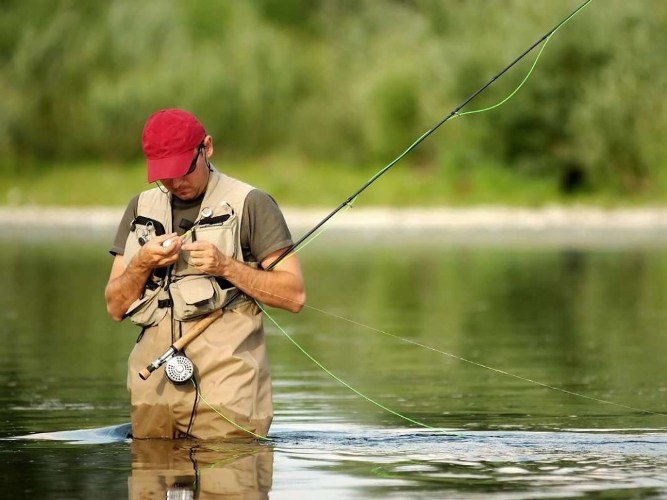  ��������� ���� ����������� 