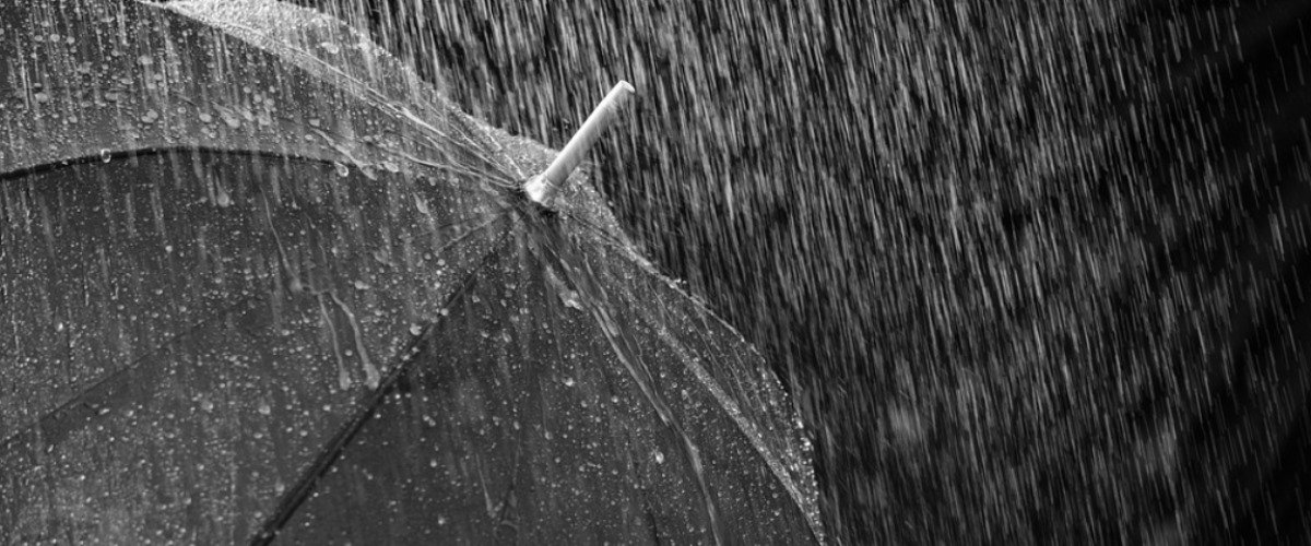  ����������� ��������� ����� ������� ��� ������� ������ 