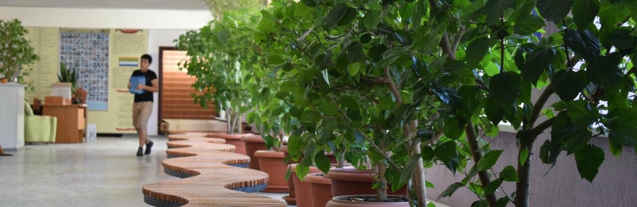  ����� ����������� ��������� ���������� �������� 