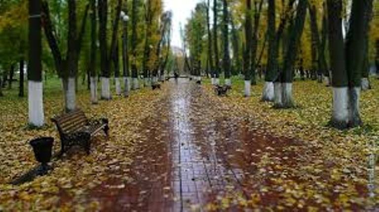  �������� ��� ������ 2019 �������� �������� 