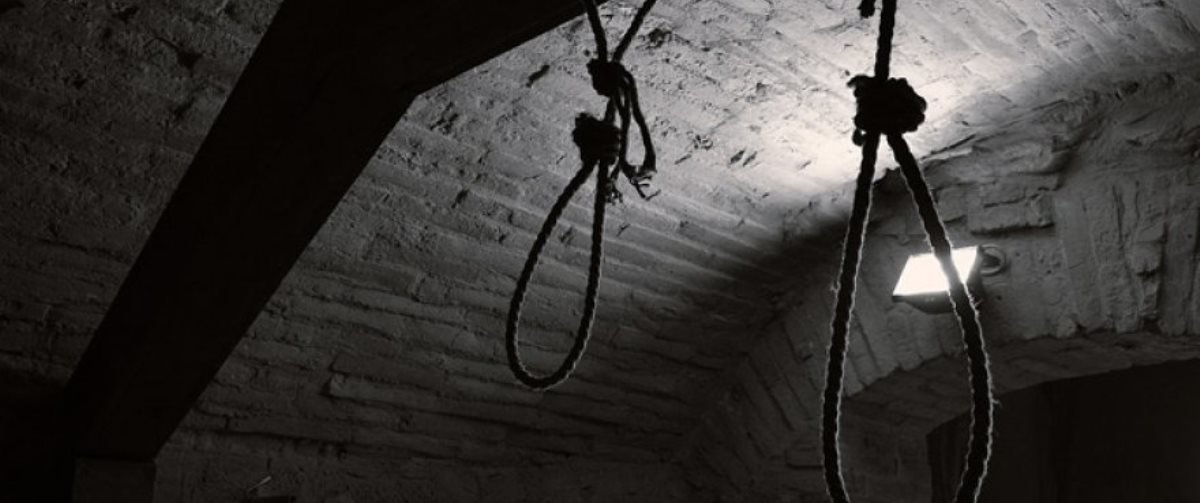  ������ ������������ ����������� 