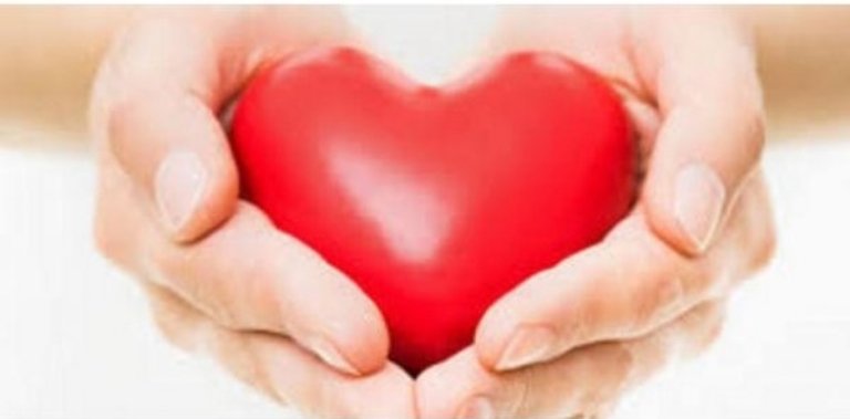  �������� ��������� ���� ������ 