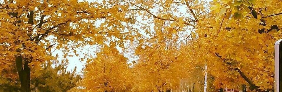  ����� ������ ������ ���������� ���� ���������� ������������� ����� 