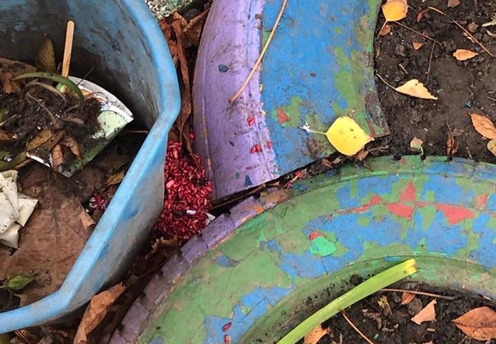  ������ ����������� ���� ������� ������ ��������� �������� 