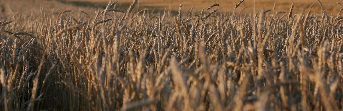  2200 ������ �������� ����� ����� ������� 