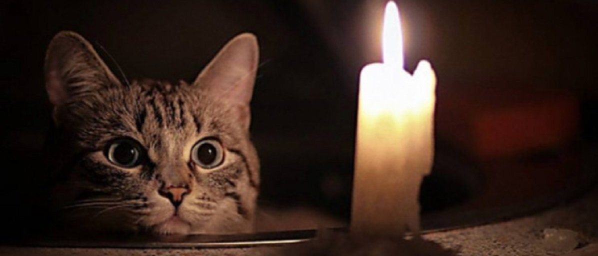  ���������� �������������� ������������ ������ 