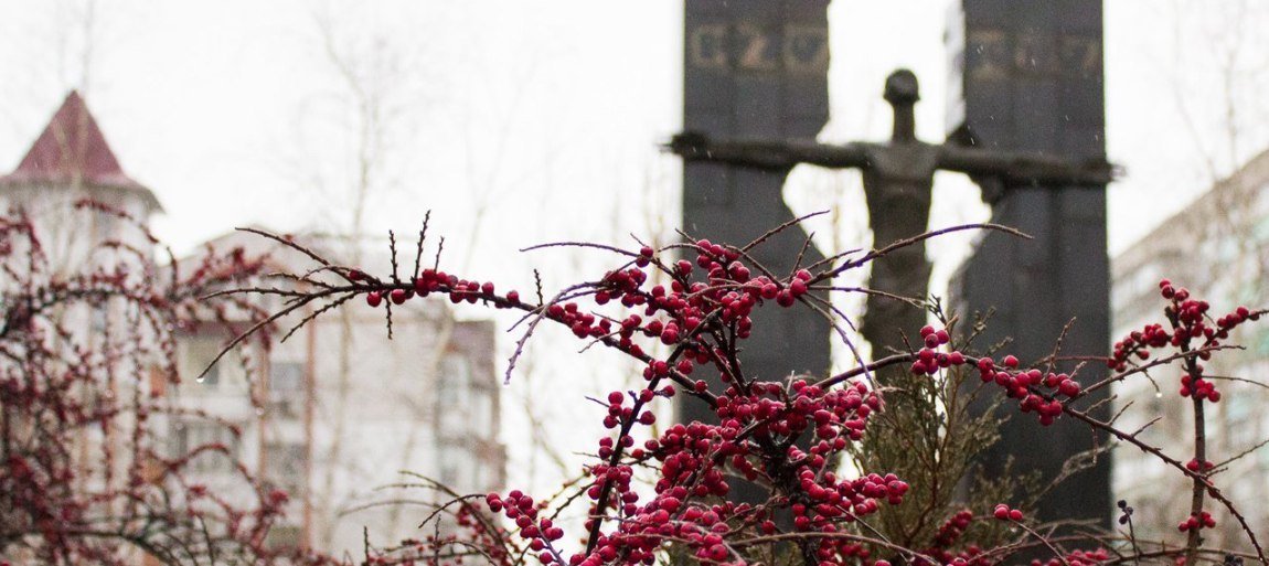  ������ ������� ����������� ������ ���� ����������� ���������� ������ 