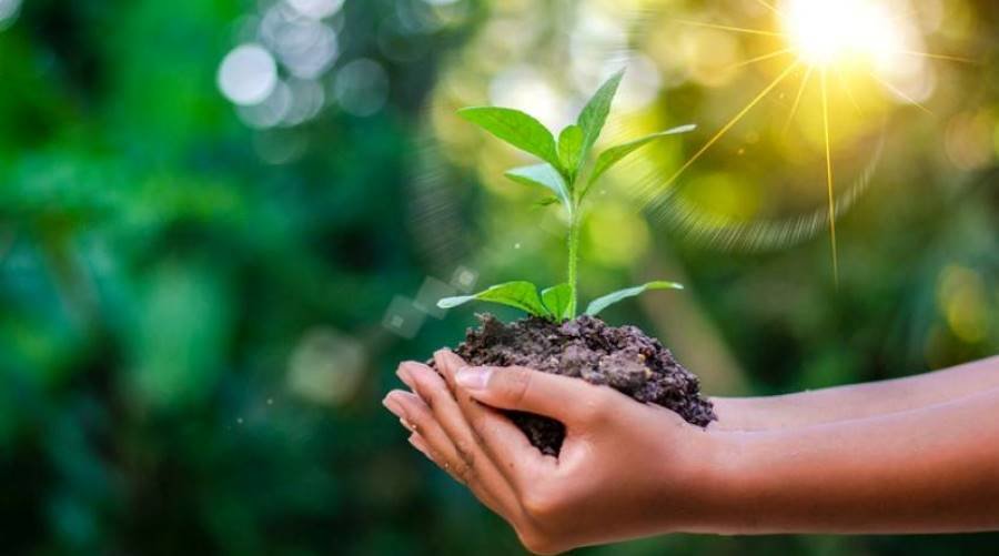  ������� �������� ����������� 