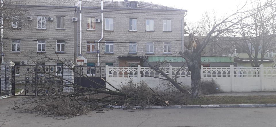  ����������� ������� ���� ����������� 