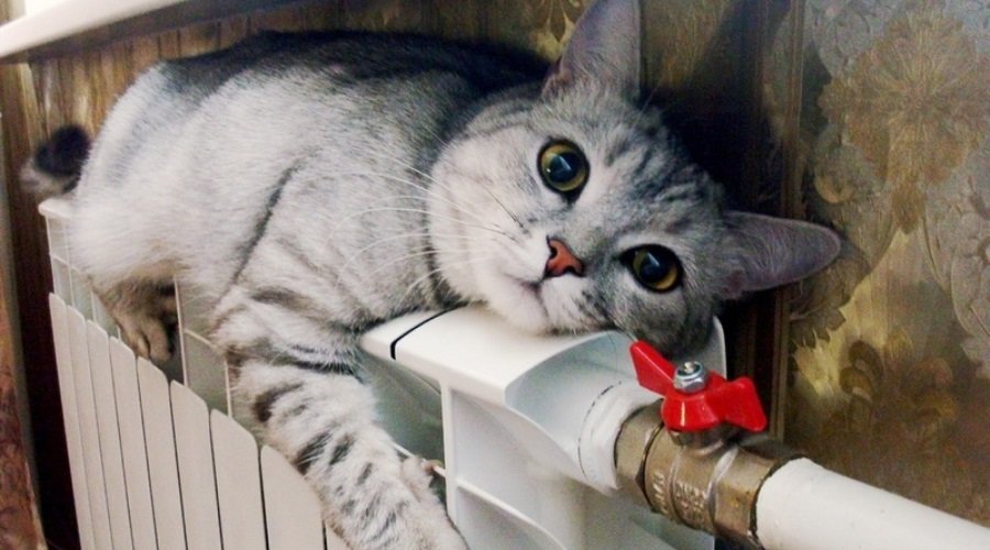  ����������� �������� ��������� ������������ ����� 