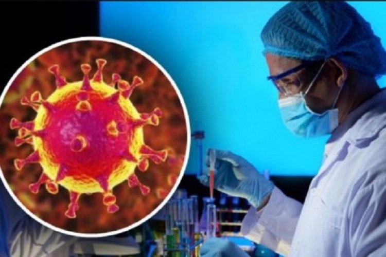  ������� ������� ��������������� covid-19 