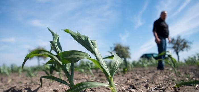  ����������� �������� ������ �������� 