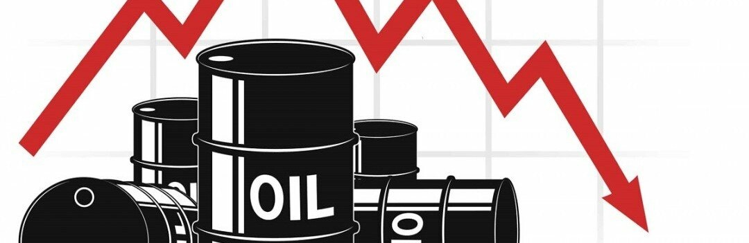  ���� ����� ����� ����� ������ ����� ������������ 