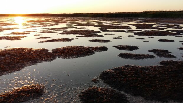  ����� ���� ������� �������� ������� ������ ������ ���� 