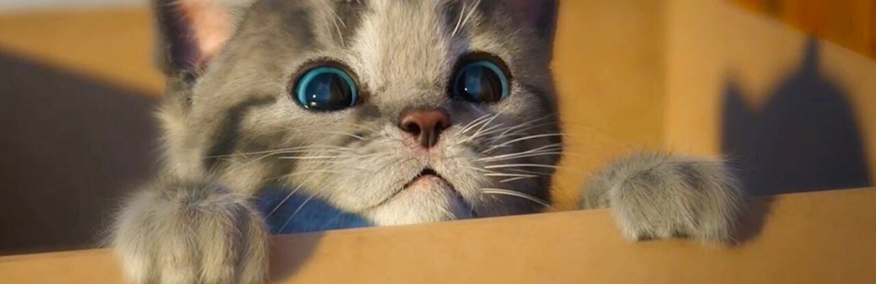  ����� ���������� ������� ������ ������� ���� �������� 