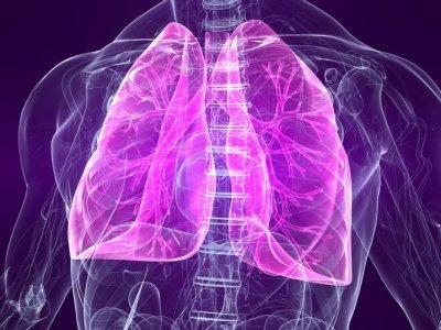  ������ ������ ��-������ ������ ������� ������������ 