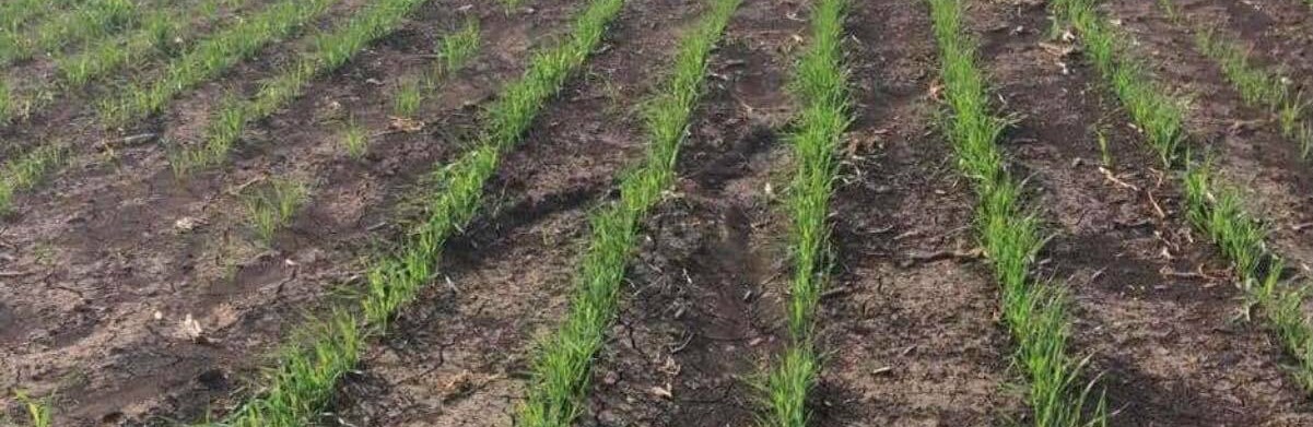 ����: 04868.com.ua