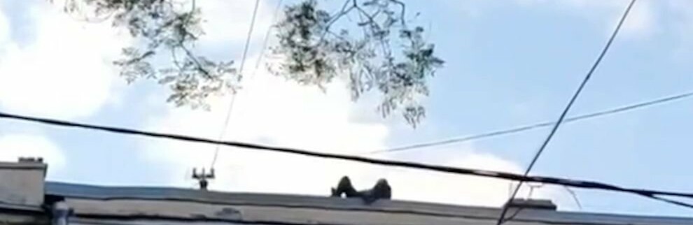  ������ ������ ������� �������� ����� ����� 