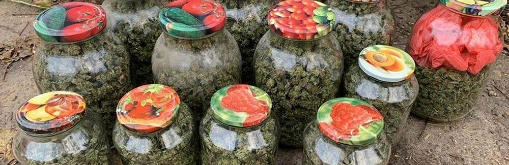  ������ �������� ������� ������� ��������� ���� �������������� 