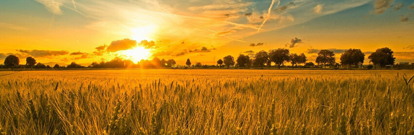 ����: 04868.com.ua