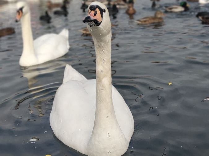  ���������� ���� ����������� ���� ��������� ������ 