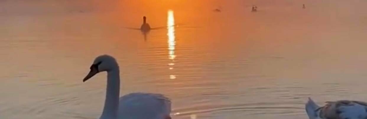  ����-���� ���������� ������� ������� ����������� 