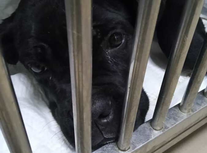  ��� ������ ����������� ����� ��������� ������ 