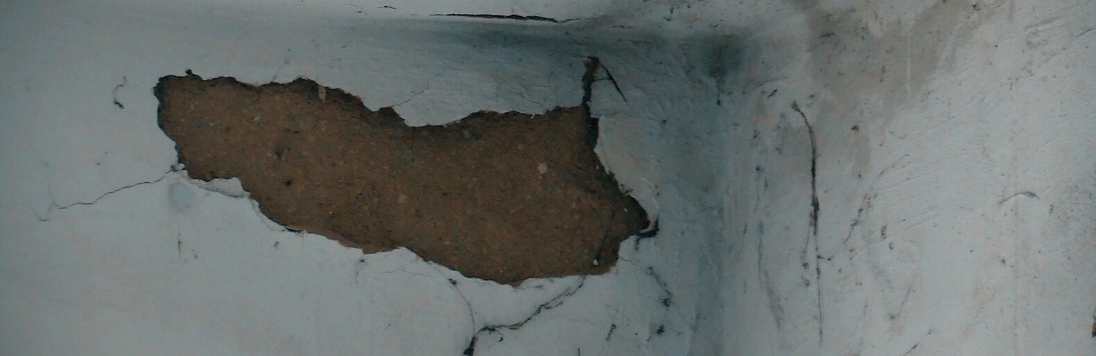 ����: 04868.com.ua