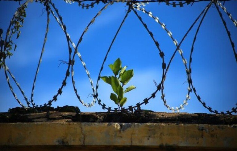 ������ �������� �� ������� ��� ������