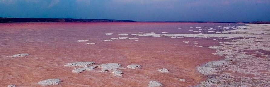 ����: 04868.com.ua