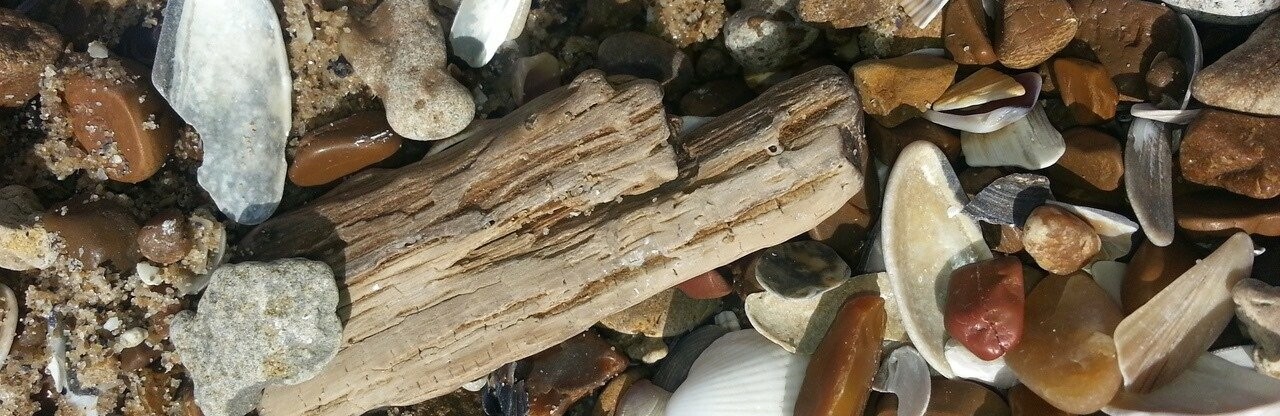  ���������� ������� ������������ ����� �������� ����� �������� ��������� 