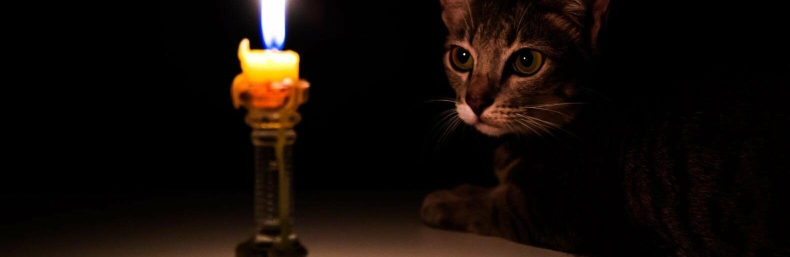  ���������� �������������� ����������� 