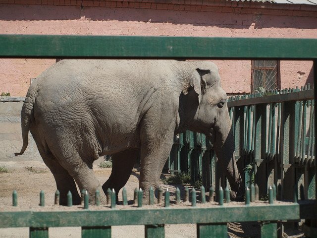  �������� �������� ����� ������� ����� ������� ������ ������� 