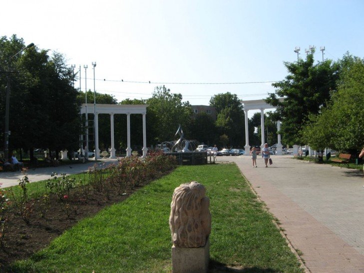 normal_img_4229_729x547